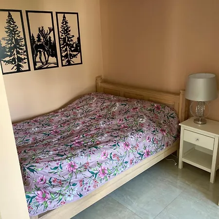 公寓 Chmurka 皮什